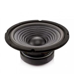 Difuzor HI-FI HOME 8" 203mm 100/200W 8 ohmi 37Hz-4.5kHz Carguard HSP003